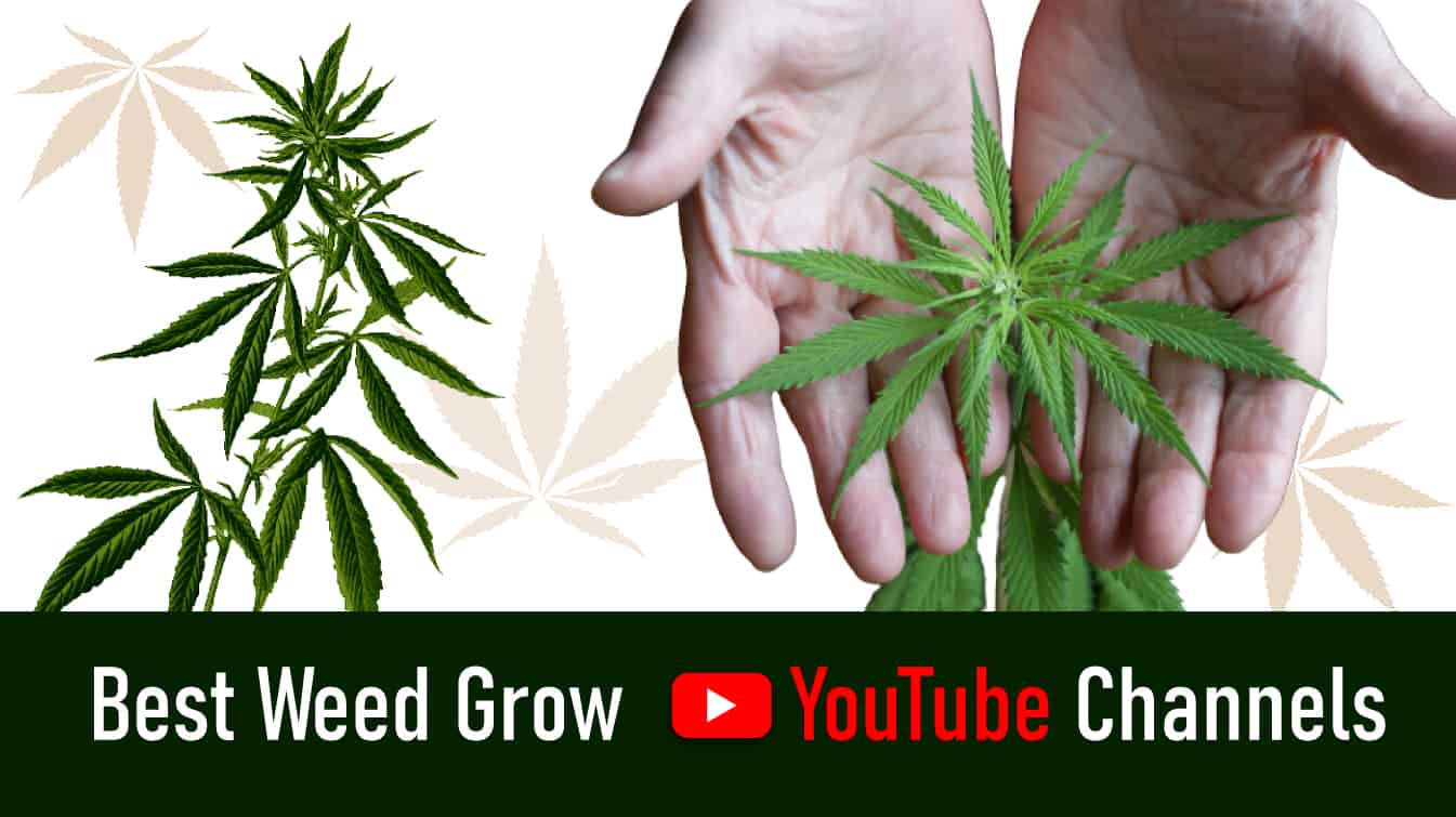 best weed grow youtube channels best weed youtube channels best weed growing videos
