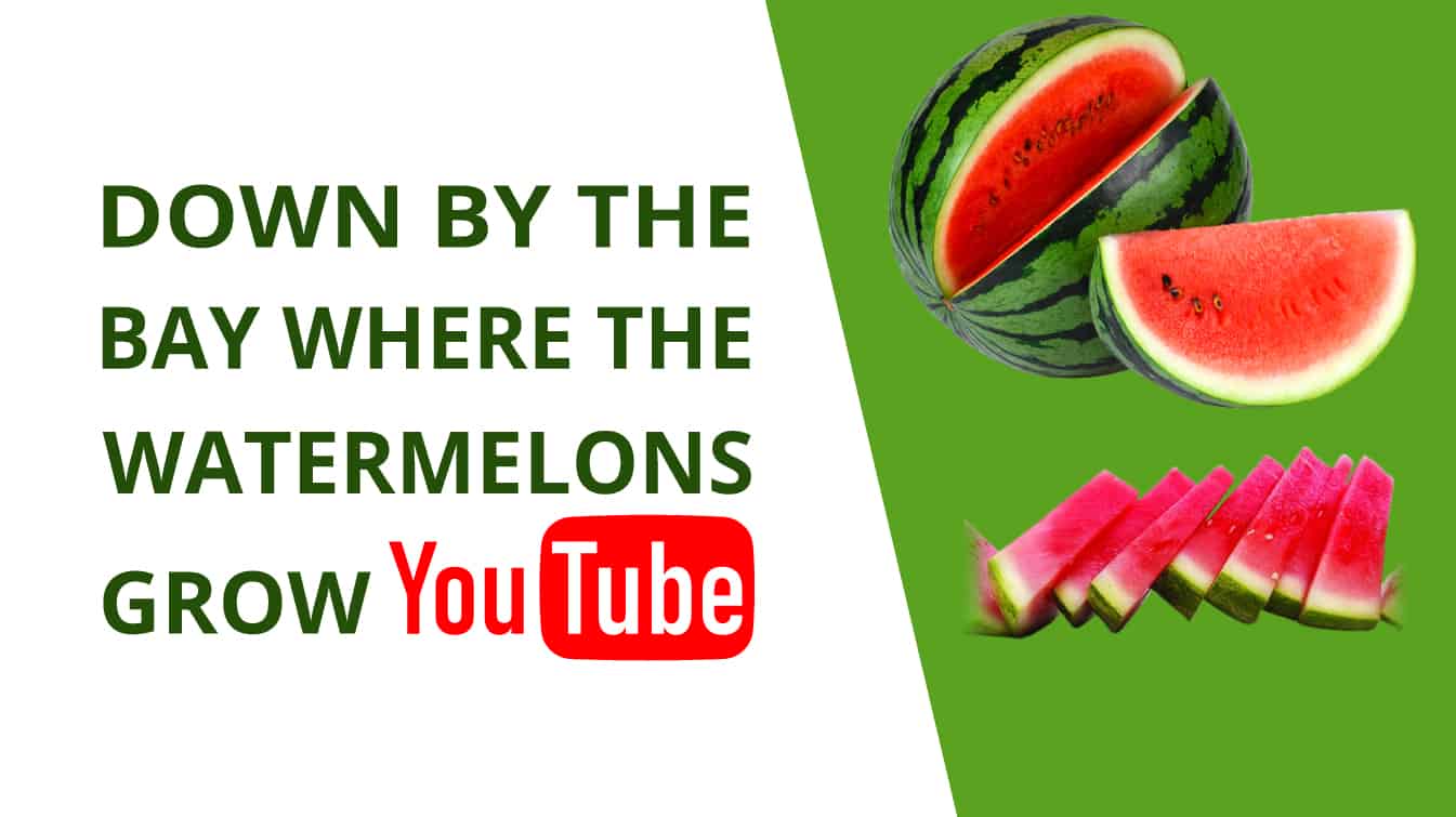 down by the bay where the watermelons grow youtube down by the bay weather watermelons grow watermelon down by the bay