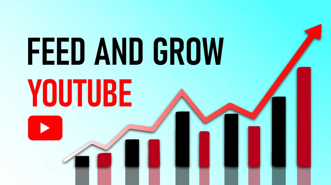 feed and grow youtube how does youtube feed work how to stop feed on youtube