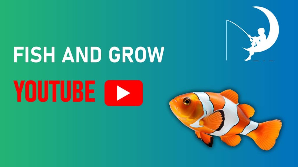 fish and grow youtube feed and grow fish youtube youtube fish and grits