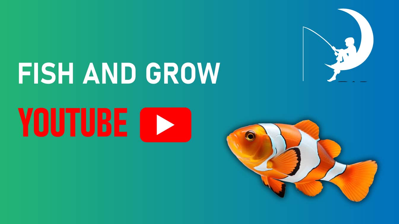 fish and grow youtube feed and grow fish youtube youtube fish and grits