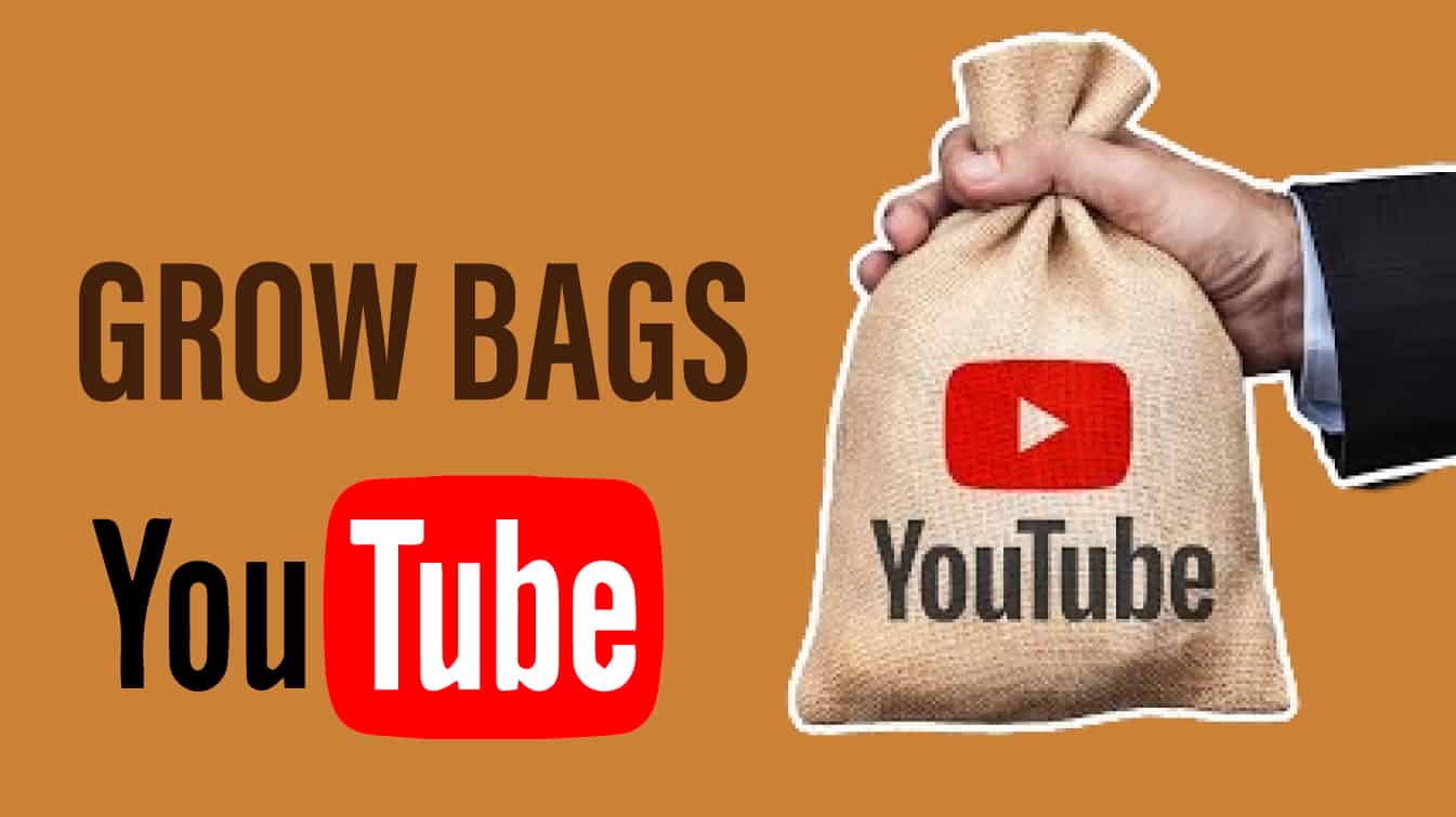 grow bags youtube grow bag uses youtube grower