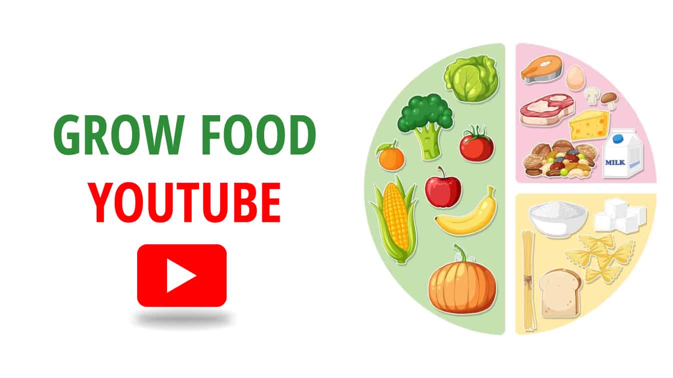 grow food youtube grow food well youtube grow go glow foods list
