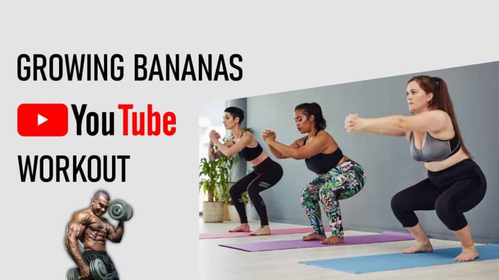 growing bananas youtube workout growing bananas youtube workout banana growing video