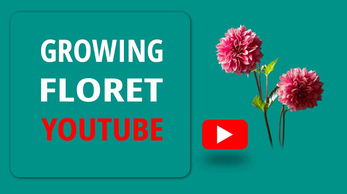 growing floret youtube floret youtube floret videos