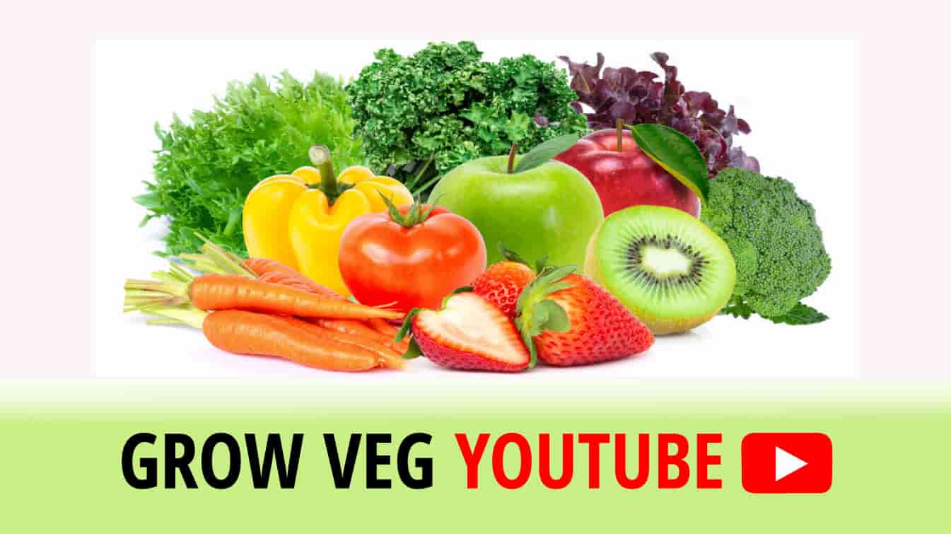 grow veg youtube youtube growveg best grow videos