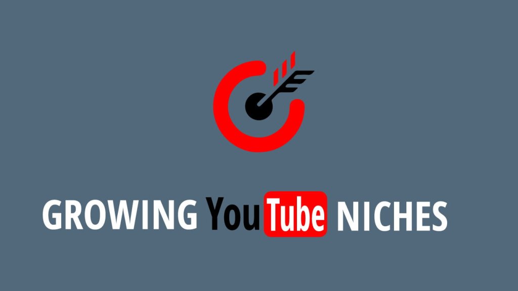 growing youtube niches youtube most profitable niches biggest niche on youtube