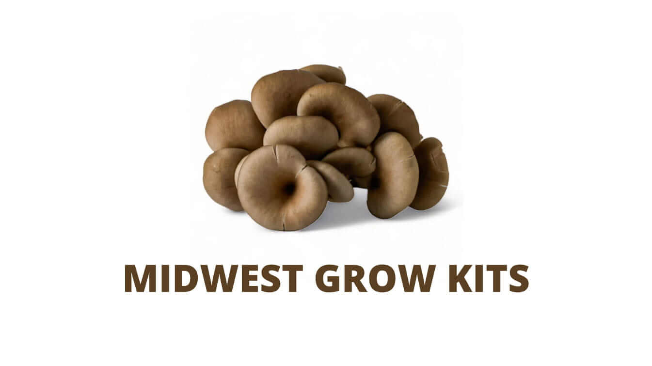midwest grow kits youtube midwest grow kits videos midwest grow kits video grow guide