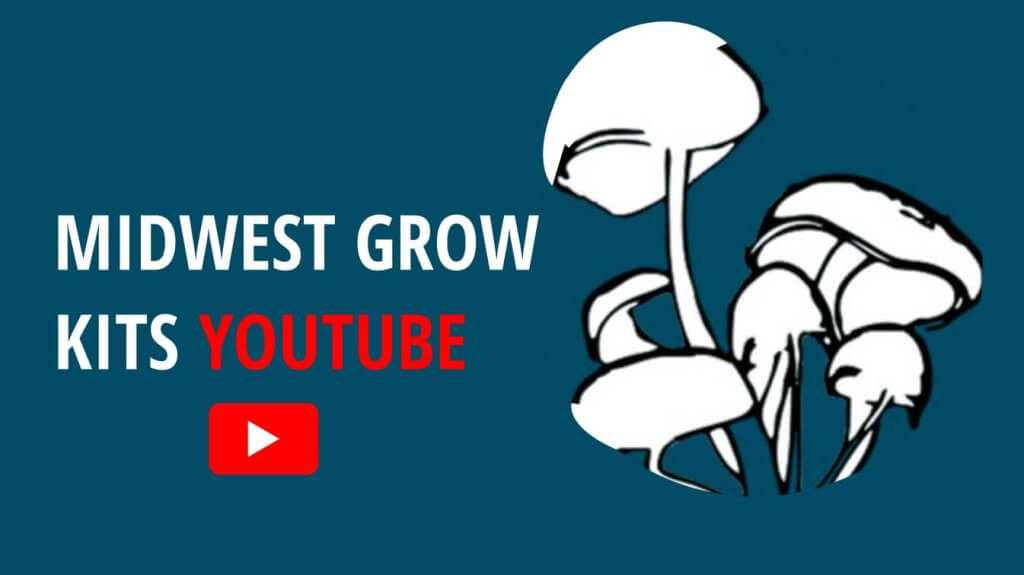 midwest grow kits youtube midwest grow kits videos midwest grow kits video grow guide