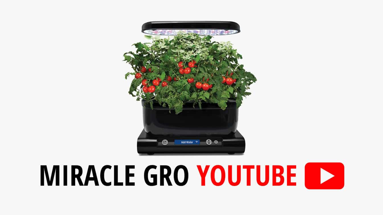 miracle gro youtube miracle gro shake and feed youtube miracle gro shake and feed youtube