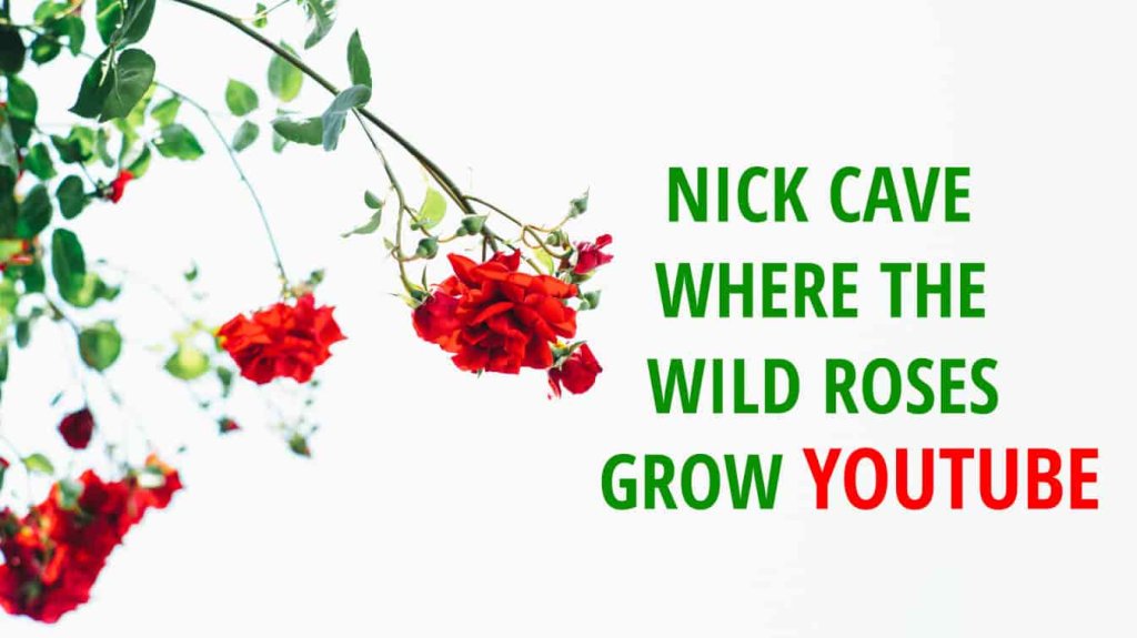 nick cave where the wild roses grow youtube where the wild roses grow song where the wild.roses grow