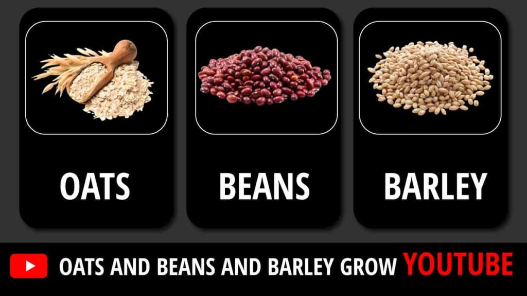 oats and beans and barley grow youtube oats and beans and barley grow song youtube how oats and beans and barley grow