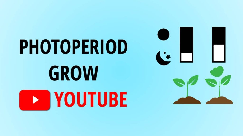 photoperiod grow youtube photoperiod grow guide youtube photo genius