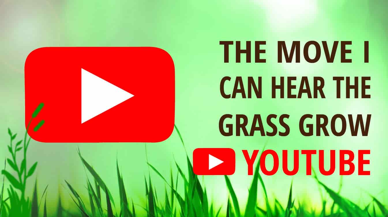 the move i can hear the grass grow youtube youtube grass growing youtube the grascals
