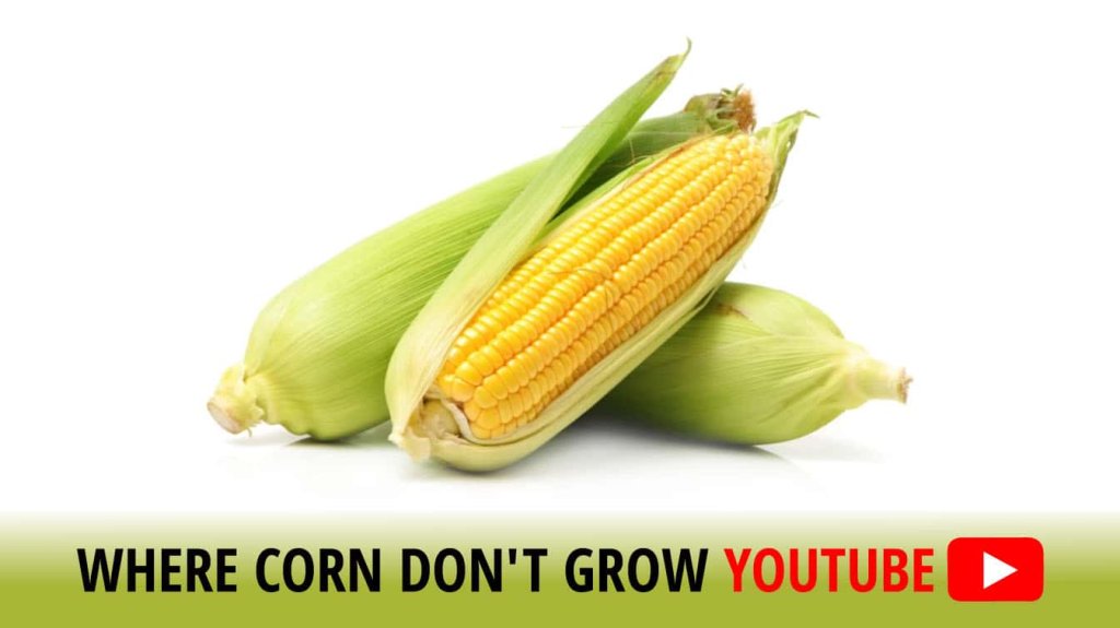 where corn don't grow youtube travis tritt where corn don't grow youtube where corn don't grow
