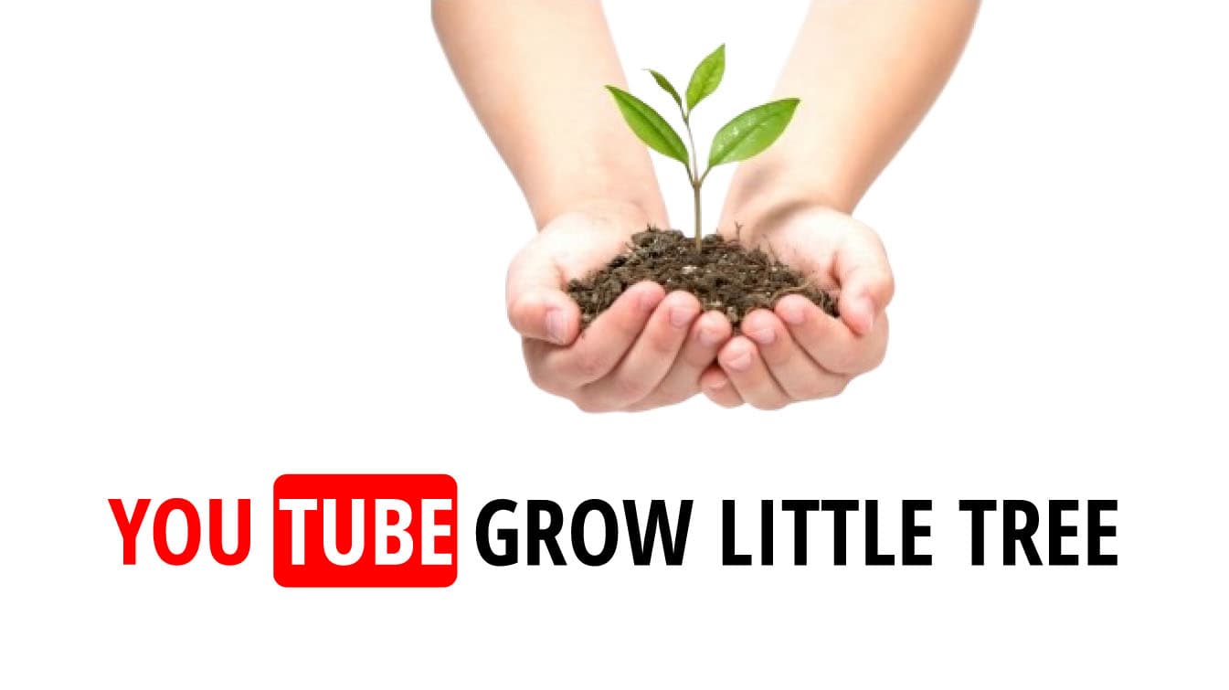 youtube grow little tree grow little tree youtube little tree youtube