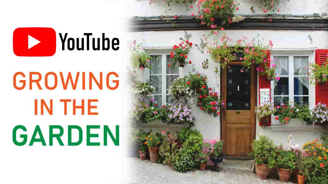 youtube growing in the garden how to grow a garden garden ideas on youtube